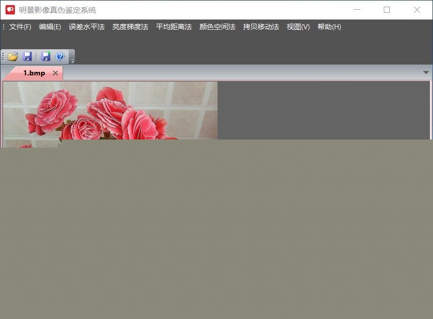 明景影像真伪鉴定系统
